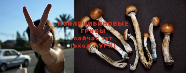 винт Нефтегорск