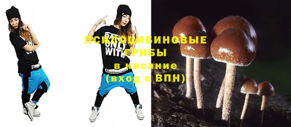 шишки Ельня